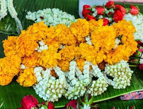 Flowers and Leaves