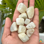Natural Moonstone Tumble Stones – Polished Gemstones | Manifestation Healing and Meditation Crystals