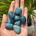 Natural Lepidolite Tumble Stones – Polished Blue Crystal Gemstones | Manifestation and Healing Crystals | High Quality Lepidolite Crystals