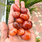 Natural Carnelian Tumble Stones – Polished Orange-Red Gemstones | Manifestation Healing and Meditation Crystals