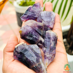 Amethyst Raw Crystals – Natural Rough Unpolished Amethyst Stones | Purple Manifestation Healing and Meditation Crystals