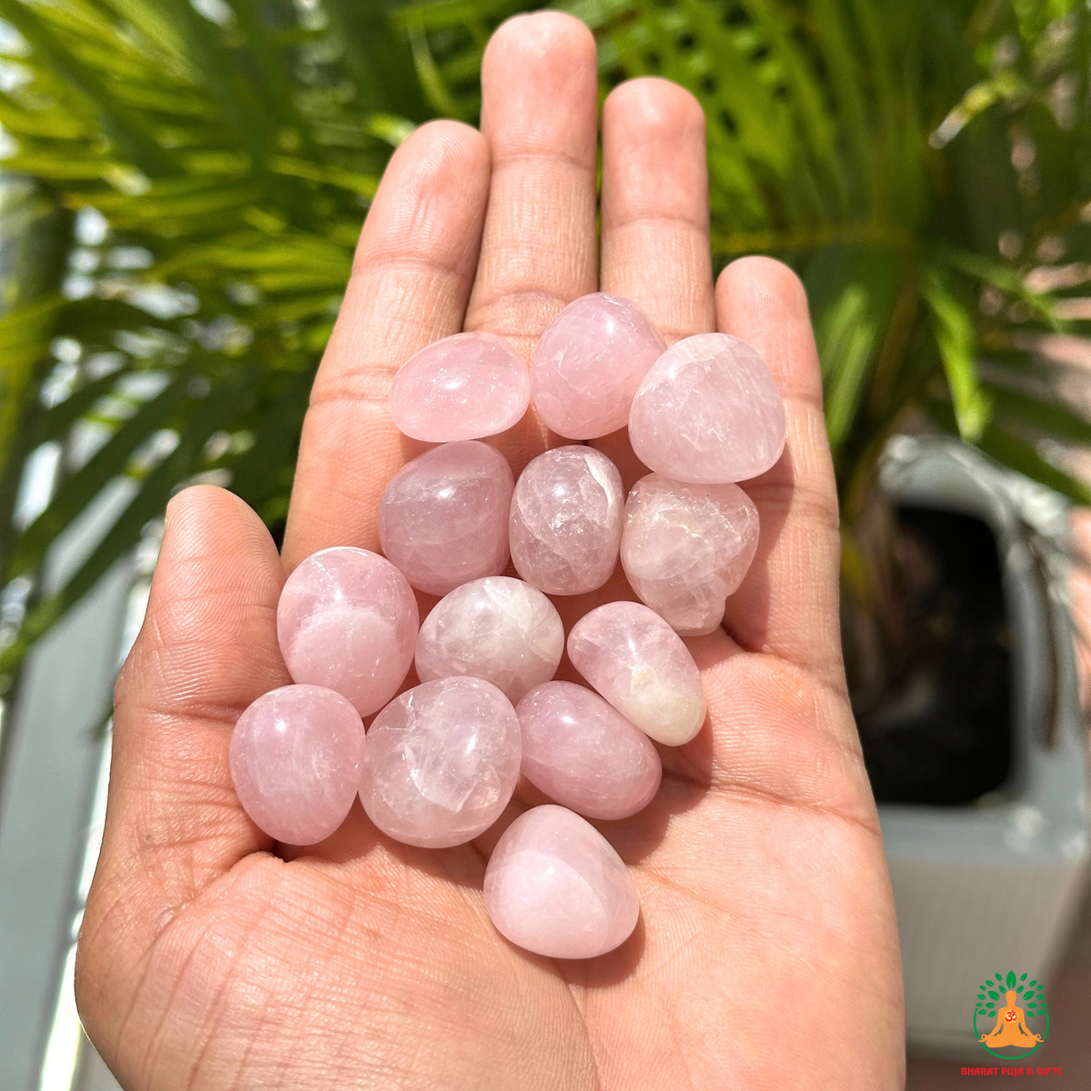 Natural Rose Quartz Tumble Stones – Polished Pink Gemstones | Manifestation Healing and Meditation Crystals