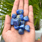 Natural Lapis Lazuli Tumble Stone – Polished Blue Gemstones| Manifestation Healing and Meditation Crystals