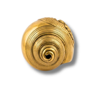 Brass Shankh | Decorative Brass Conch Shell with Lord Vishnu Design