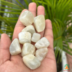 Natural Moonstone Tumble Stones – Polished Gemstones | Manifestation Healing and Meditation Crystals