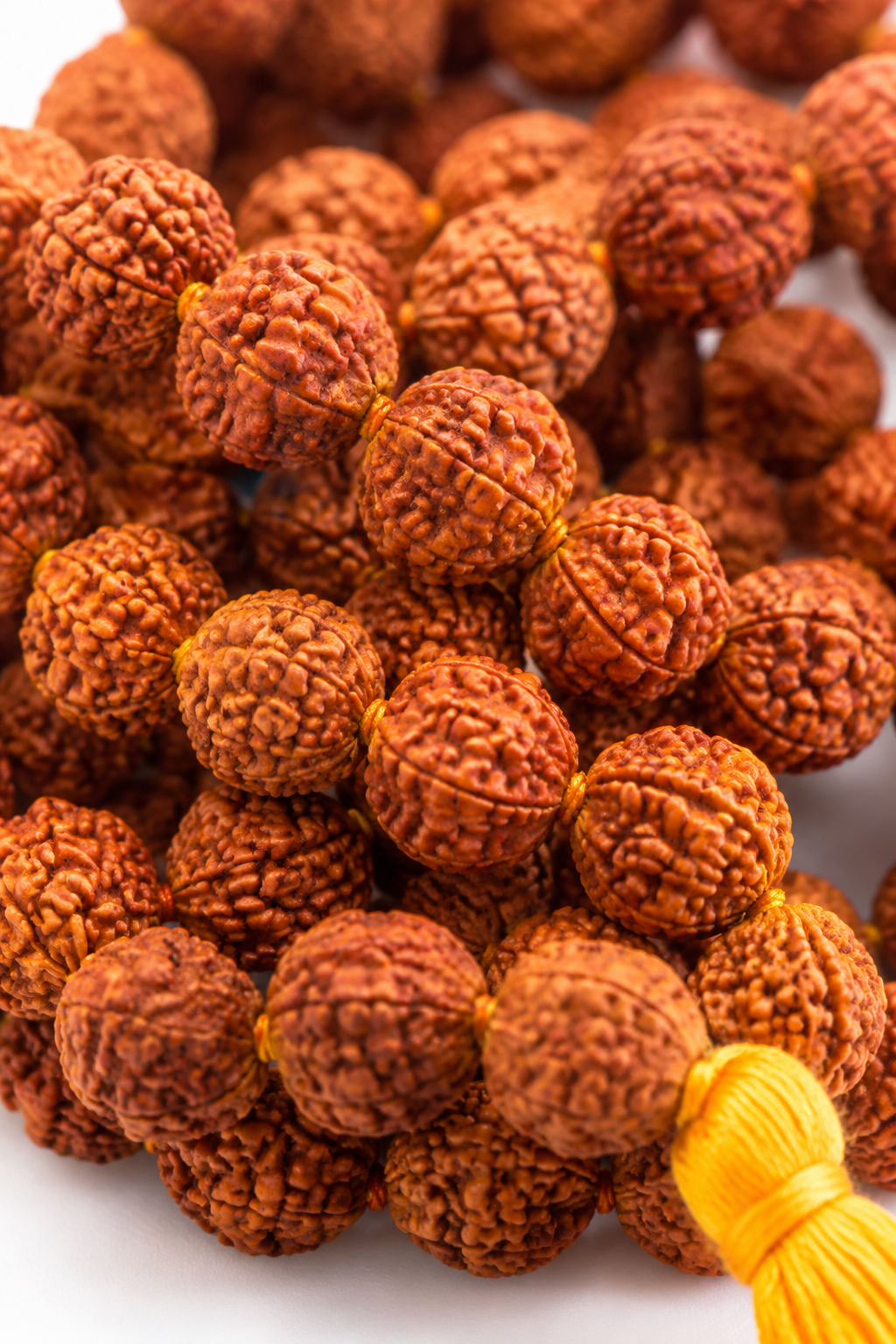 Authentic Natural Beads Rudraksha Mala | Prayer Beads | Om Namah Shivay Chanting Beads | Japa Beads | Rudraksha Seeds
