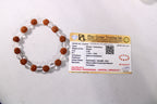 Rudraksha Sphatik Bracelet | Rudraksha & Clear Quartz Bracelet | Spiritual Meditation Jewelry | Prayer Bracelet | Natural Rudraksha Jewelry Gift
