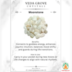 Natural Moonstone Tumble Stones – Polished Gemstones | Manifestation Healing and Meditation Crystals