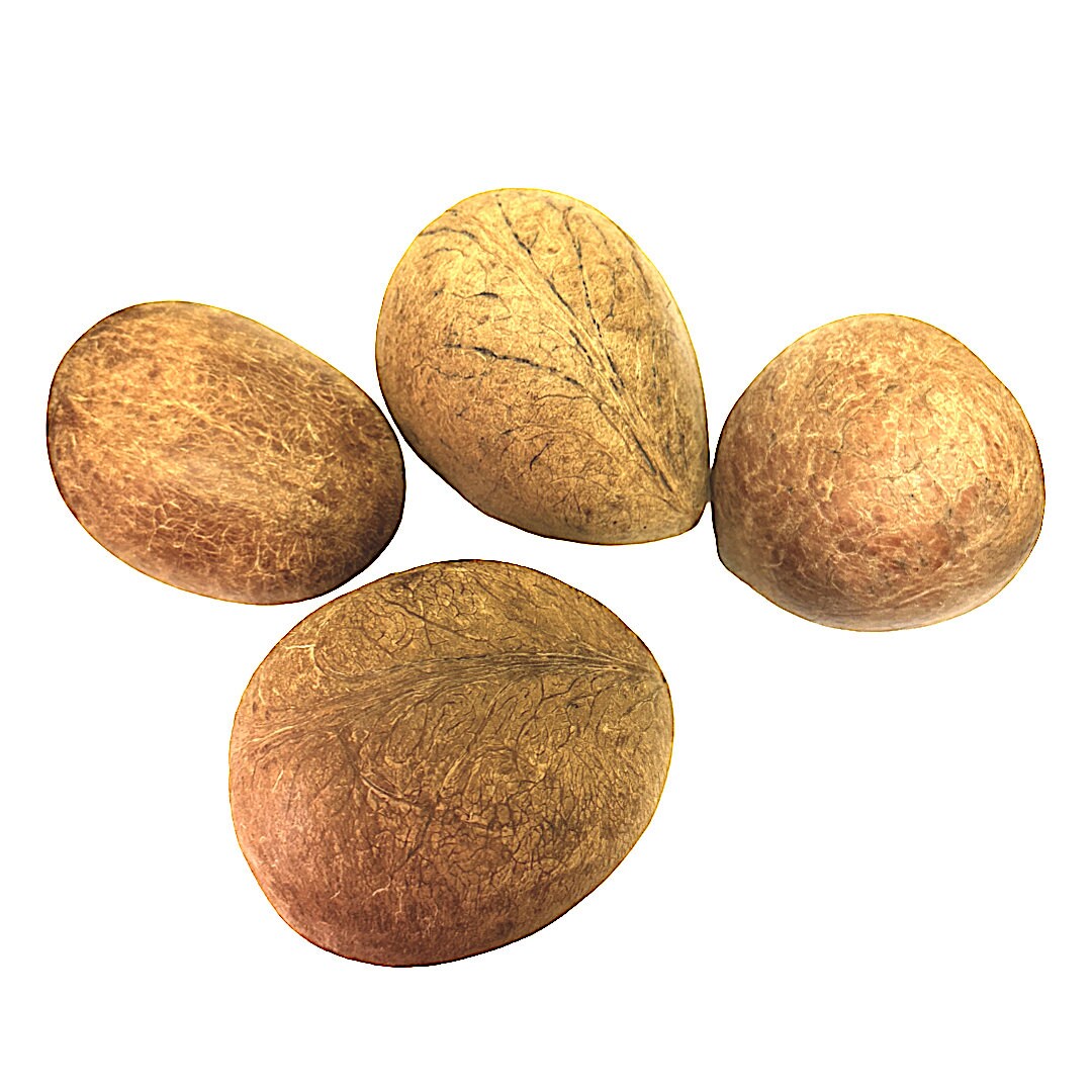 Dry whole coconut for religious purposes hawan yagya (Pack of 4)