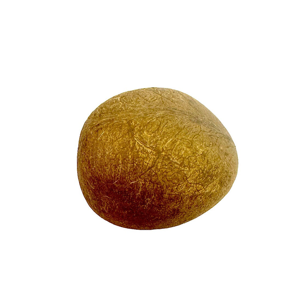 Dry whole coconut for religious purposes hawan yagya (Pack of 4)