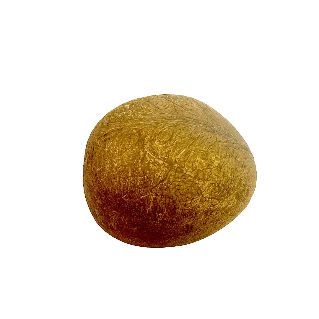 Dry whole coconut for religious purposes hawan yagya (Pack of 4)