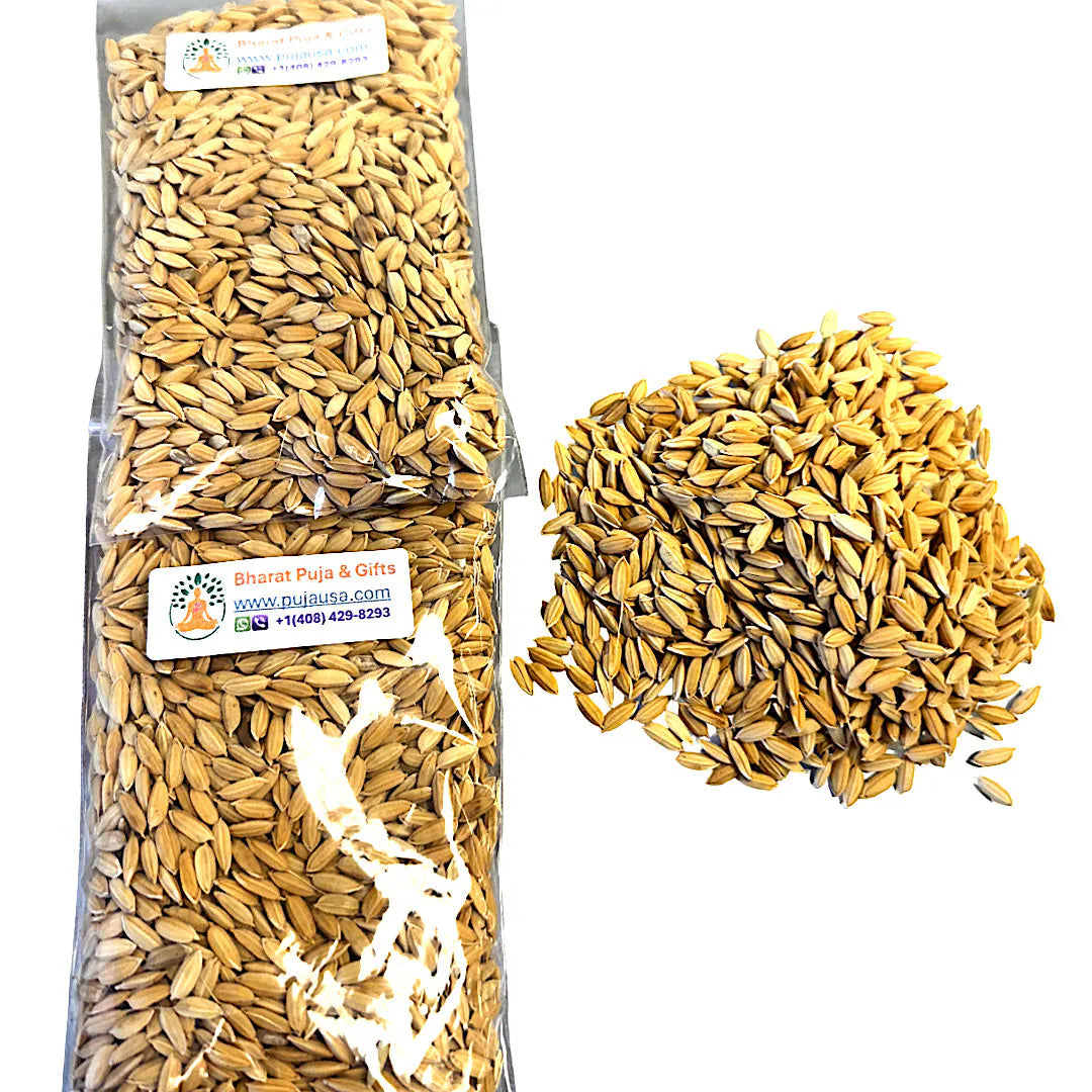 Rice with Husk | Paddy Rice | Dhan for Puja | Puja Rice (50 gm)