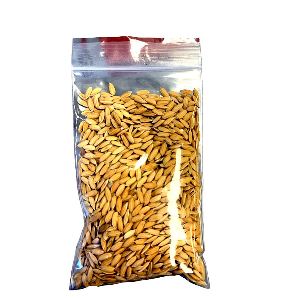 Rice with Husk | Paddy Rice | Dhan for Puja | Puja Rice (50 gm)