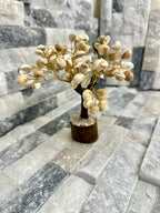 Gomati Chakra Crystal tree auspicious vibes for your home