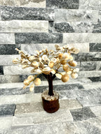 Gomati Chakra Crystal tree auspicious vibes for your home
