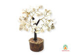 Gomati Chakra Crystal tree auspicious vibes for your home